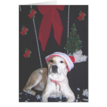 jerzy's-second-christmas2 cards