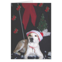 jerzy's-second-christmas cards