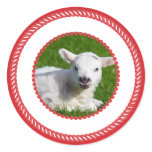 Jesse Tree Lamb Sticker