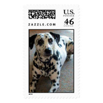 Jessica the Wonder Dog! Postage Stamps