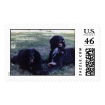 Jessie & Arrow postage by megnok Jessie & Arrow postage