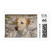"Jessie Girl" postage