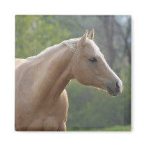 Jessie Rey Freckle Fridge Magnet
