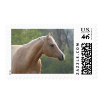 Jessie Rey Freckle Stamps