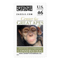 Jessie’s Baby postage