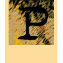 Jessie's Letter "P" Monogram T-shirt