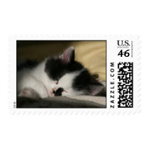 jessy jane -postage stamp