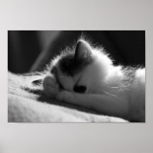 Jessy Jane - Small poster