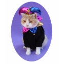 Jester Kitty t-shirts