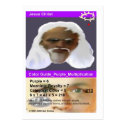 Jesus Christ business cards
