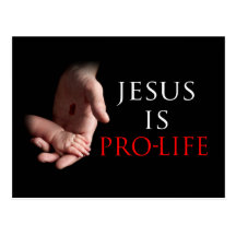 Jesus Is Pro-Life Post Card