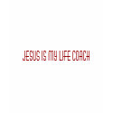 Jesus Life Coach t-shirt