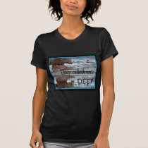Jesus walking on Water t-shirts