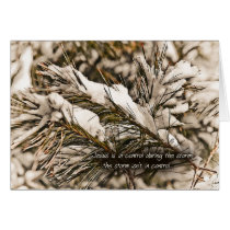 JesusisinControlofthestormZazzle cards
