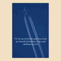 Jet Airliner Motivational Print posters