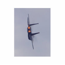 Jet Airplane photo sculptures by lifesphere Jet Airplane photo sculptures