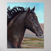 Jet : Band Stallion Of Sand Wash Basin Poster