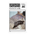 Jet lee postage
