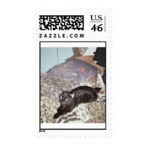 Jet lee postage