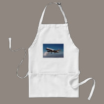 Jet over LA aprons