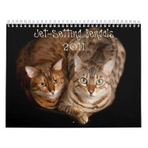Jet Setting Bengals Calendar