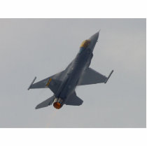 Jets Engines Planes Flying photo sculptures