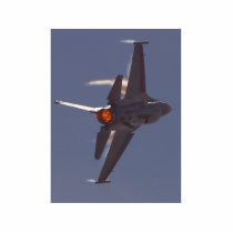 Jets Fighters Planes photo sculptures