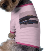 Jets Planes Pilot pet clothing