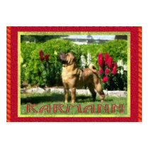 Jetta Shar-pei Profile Cards Business Card Template