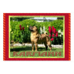 Jetta Shar-pei Profile Cards business cards