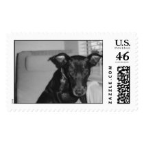 jettab&w postage
