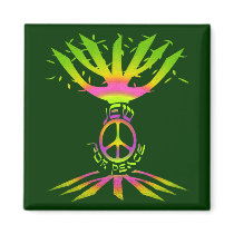 Jew for Peace (Color) Magnets