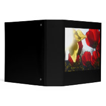 Jewel Bright binders