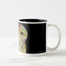 Jewelled chameleon, or Campan's chameleon Mugs