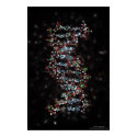Jewelled DNA posters