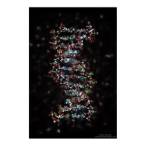 Jewelled DNA posters