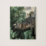 Jigsaw Puzzle: Cat Jigsaw Puzzle: Cat
