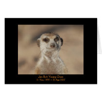 Jim Bob - Legends Card by fkmp_store Jim Bob - Legends Card