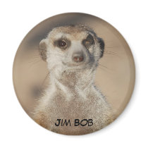 Jim Bob Magnet