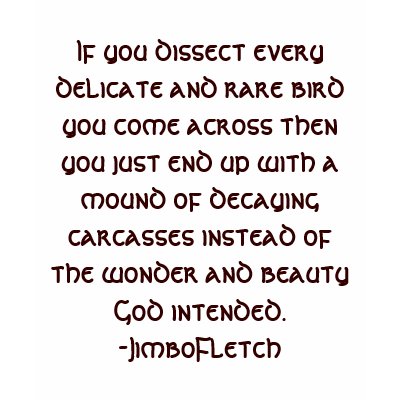 JimboFletch T-shirt by ezri2006
