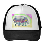 jimmy hat