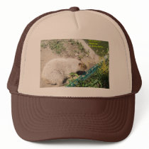 Jimmy Hoffa hat