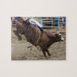 Jinete de Bull en el rodeo Puzzle Con Fotos