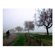 Jinete de niebla tarjetas postales