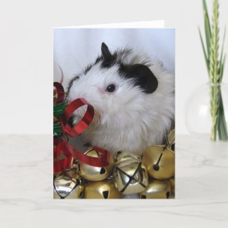 Jingle Bell Guinea Pig card