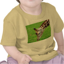 Jirafa, parque zoológico de Detroit Camisetas