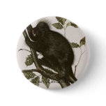 JJ Audubon - Canada Porcupine Bookstore Promo
