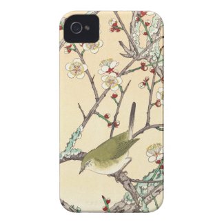 Jo Bird on Plum Branch shin hanga japanese art iPhone 4 Case-Mate Cases