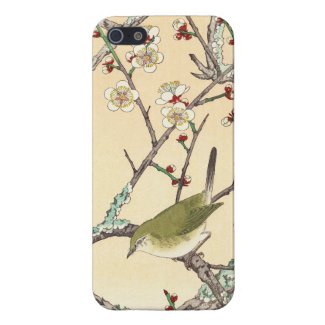 Jo Bird on Plum Branch shin hanga japanese art Covers For iPhone 5