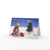 Jo Jo Hello wishes you a Merry Christmas cards